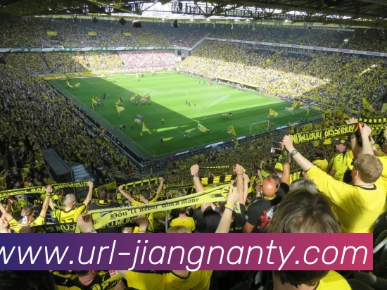 多媒体互动体验